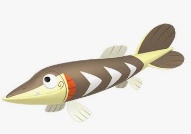 サシカマス