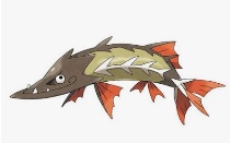 カマスジョー