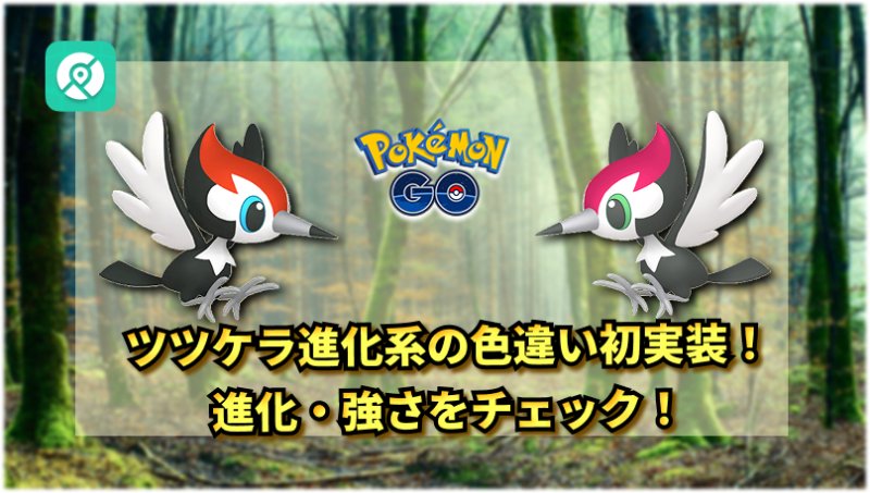 色違いツツケラ初実装