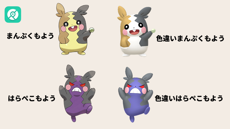 色違いモルペコ