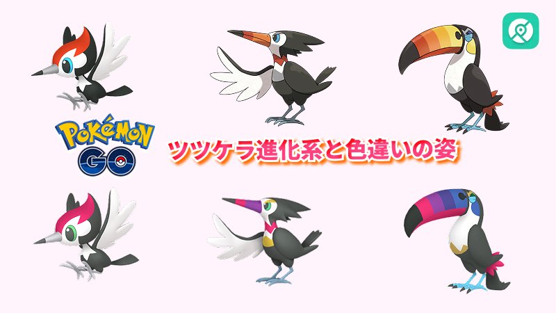 ツツケラ の進化系と色違い