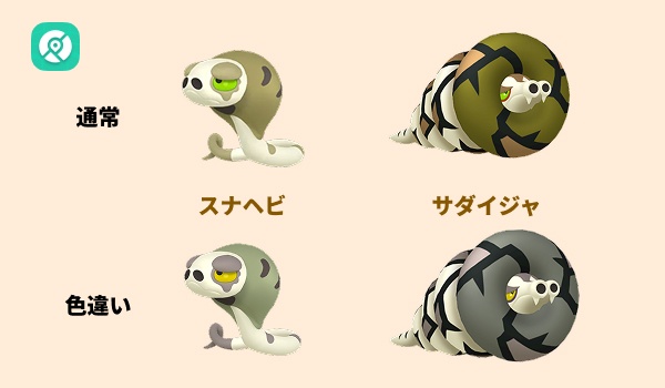 スナヘビ サダイジャ 色違い