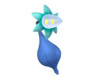 色違いキラーメ