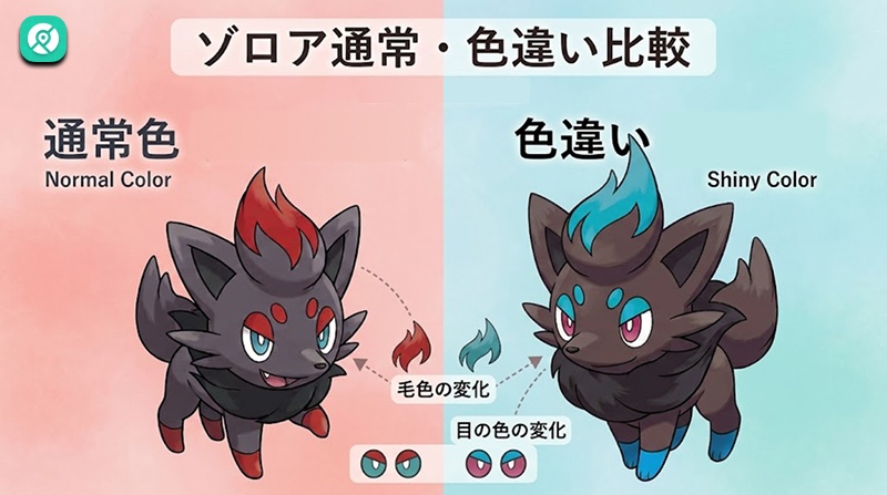 色違い ゾロア 出現確率