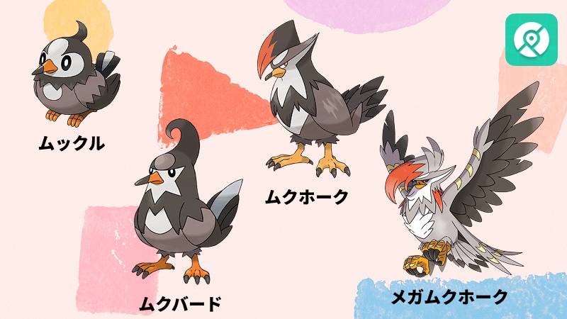 ムックル メガムクホーク 進化条件