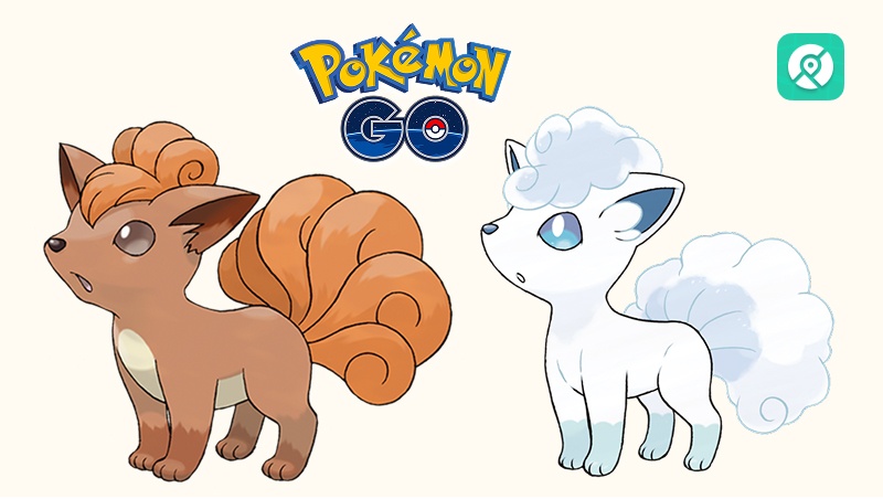 ロコン アローラロコン 違い