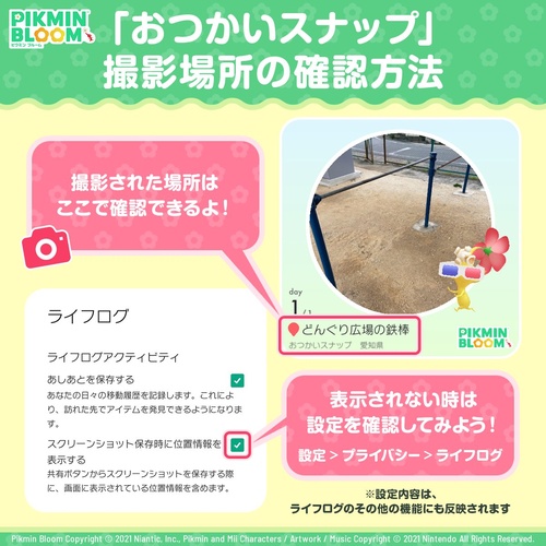 ピクミンブルーム おつかいスナップ